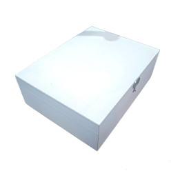 copy of 